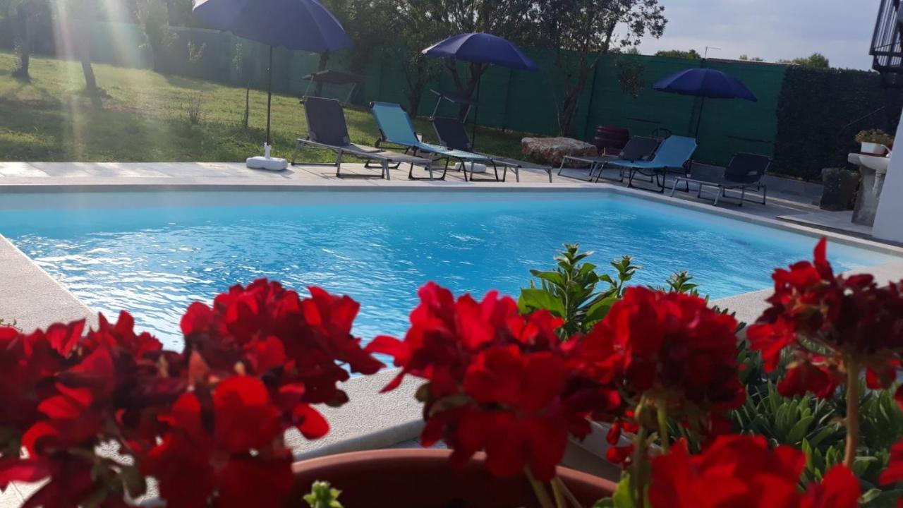 Holiday Home Dioniza Vodnjan Exteriér fotografie